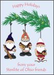 Gnomes Ornament Christmas Cards