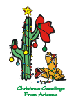Southwest 1 Christmas Card