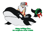 Santa on Killer Whale Christmas Card