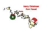 Hawaii Christmas Card