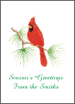 Cardinal Christmas Card