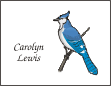 Blue Jay Bird Note Cards