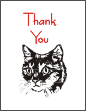 Cat Face Note Cards