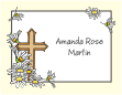 Daisies, Ivory, Note Cards
