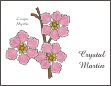 Crape Myrtle Note Cards