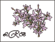 Lilacs Note Cards