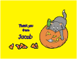 Cat on Pumpkin Thank You Card