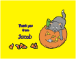 Cat on a Pumpkin Thank You Card