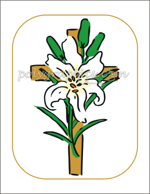lily cross