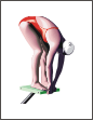 Diving Girl Thank You Card