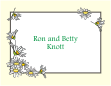Daisies Ivory Border Note Card