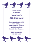 Taekwondo - Boy Birthday Party Invitation