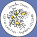 Daisies Seals