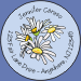 Daisies Seals
