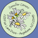 Daisies Seals