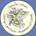 Daisies Seals