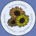 Sunflowers Seals