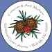 Pinecones and Berries Seals