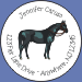Horses 3 Seals