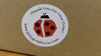 Poly Graphics ladybug sticker on Box